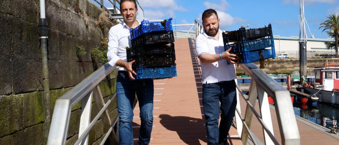  A Xunta favorece a repoboación do ourizo na Ría de Ferrol coa semente en dous anos de 20.000 unidades 