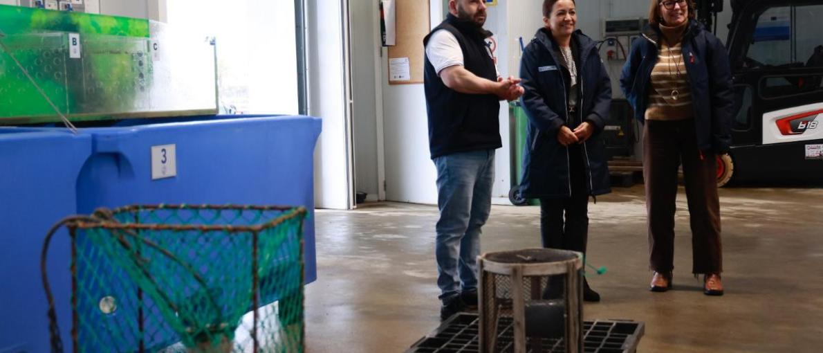 Villaverde aborda coa confraría de Ferrol os últimos investimentos realizados no pósito coas axudas da Xunta 