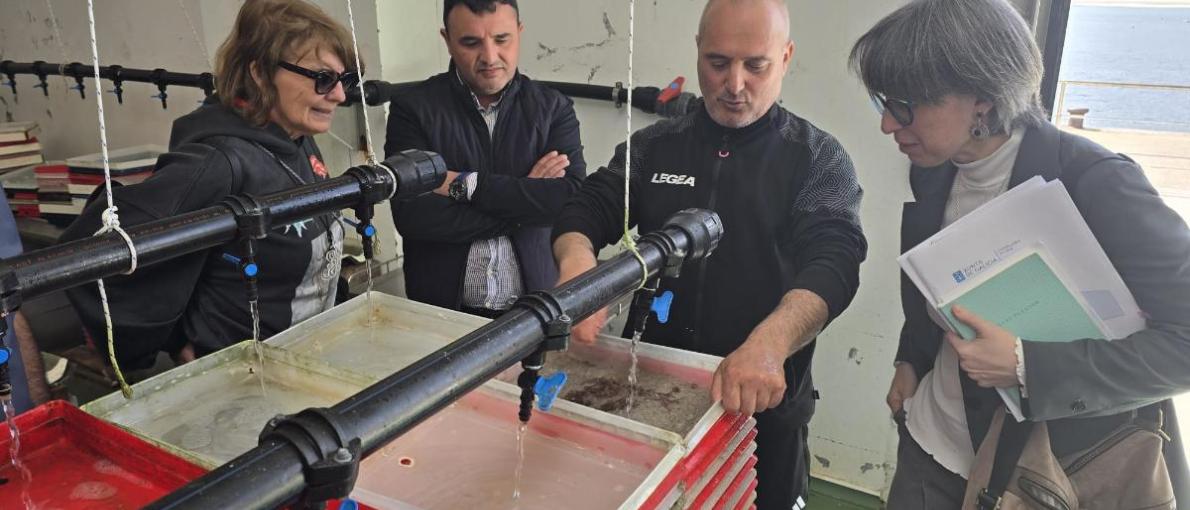 Mar avalía o impacto positivo do apoio á Confraría de Laxe con axudas de máis de 270.000 € nos últimos anos