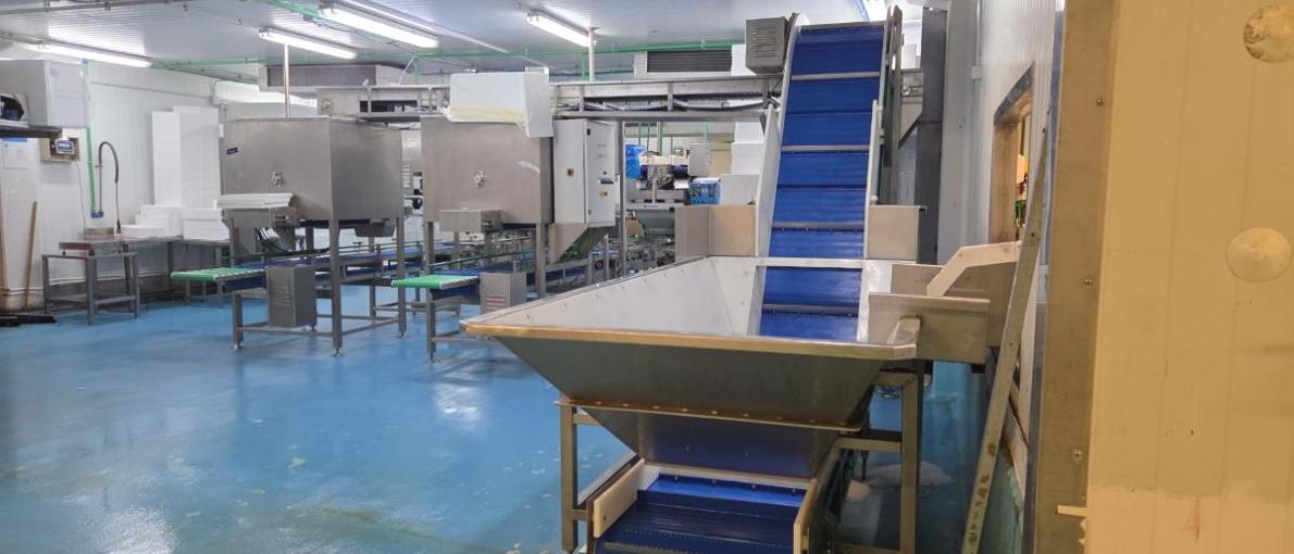 Mar contribúe a través das EDLP á valorización dos produtos pesqueiros da ría de Arousa