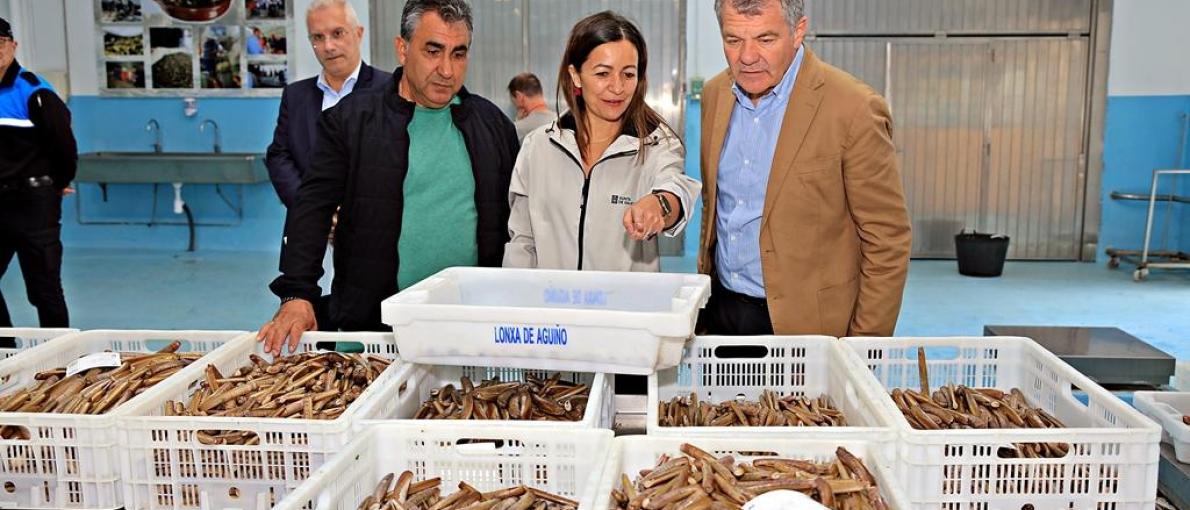 Villaverde consensúa coa confraría de Aguiño melloras portuarias para o sector profesional
