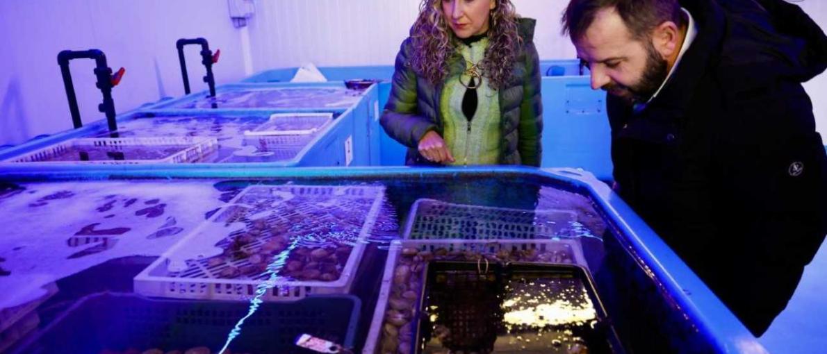 Martina Aneiros lembra que está aberto o prazo para solicitar as axudas de modernización dos equipamentos portuarios 