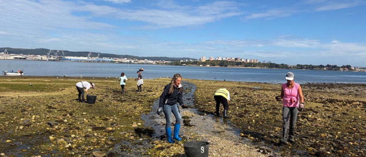 O Goberno galego destina máis de 97.800 euros á confraría de Barallobre para a limpeza e protección do medio mariño