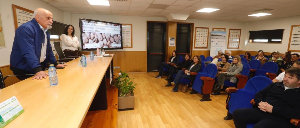  Mar e o IMM-CSIC, en colaboración coa Confraría de Cangas, afondan no estudo da inmunidade da ameixa rubia fronte a factores ambientais 