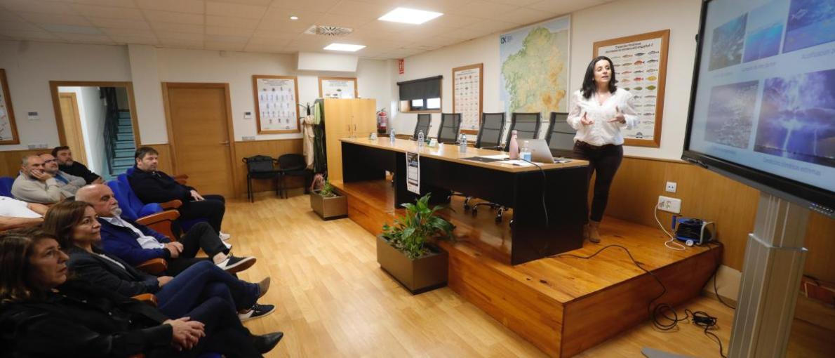  Mar e o IMM-CSIC, en colaboración coa Confraría de Cangas, afondan no estudo da inmunidade da ameixa rubia fronte a factores ambientais 
