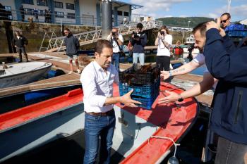  A Xunta favorece a repoboación do ourizo na Ría de Ferrol coa semente en dous anos de 20.000 unidades 