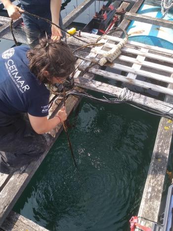 A Xunta reforza a investigación sobre o cultivo de mexillón co proxecto ‘BATEAS’ 