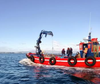  Mar impulsa a rexeneración e restauración do banco marisqueiro do Bohído coa sementeira de 130.000 novas unidades de ameixa 