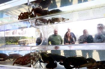 Villaverde inaugurou a peixaría da confraría de Barallobre posta en marcha co apoio da Xunta para fomentar os produtos de proximidade