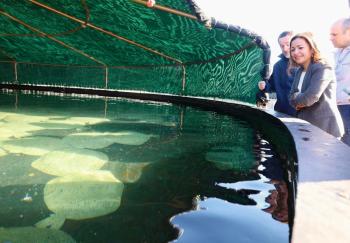 Villaverde destaca a aposta de Stolt Sea Farm pola innovación e o seu papel no desenvolvemento da acuicultura en Galicia