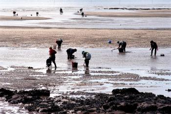 Rueda anuncia a sinatura dun convenio de colaboración coa confraría de Noia por 1,6 M€ para a restauración dos hábitats e zonas de produción marisqueira